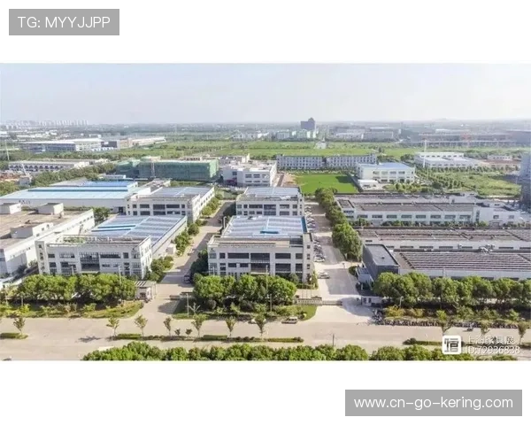 在体系建设期内一体化协作协议贯通 促成了体育活动统筹体系各环节无缝衔接