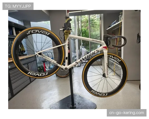 车队装备：Specialized发布为巴黎奥运会定制的新款XC战车